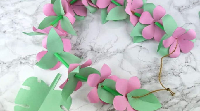 Leis.png